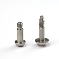 Dongguan factory manufactures special head screws with low wholesale price